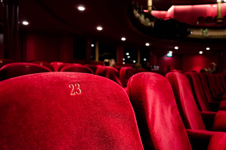Pubblico e sala cinematografica